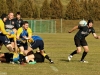 Posnania-Arka rugby(24.10.2015) (1)