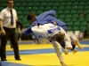 Judo Arena (10)