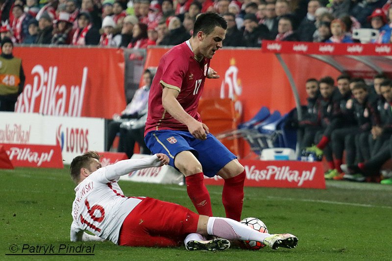 Polska - Serbia 1:0 na INEA Stadionie / fot. Patryk Pindral